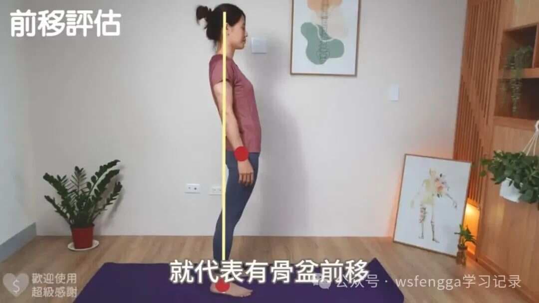 改善驼背的关键：骨盆对位与纠正训练