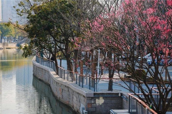江苏无锡：大运河畔全线焕新，千年文脉续写新时代文化新韵