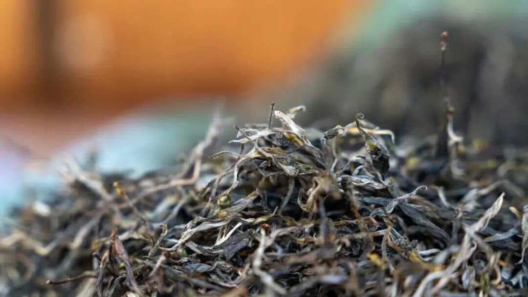 普洱生茶独特的发酵工艺：探索其陈化过程与风味变化