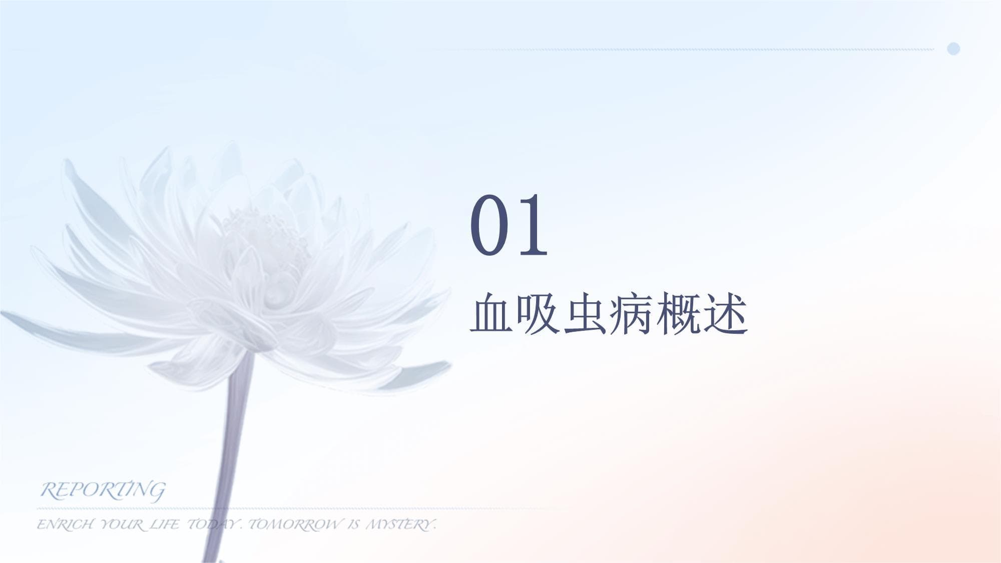 血吸虫病的预防与控制