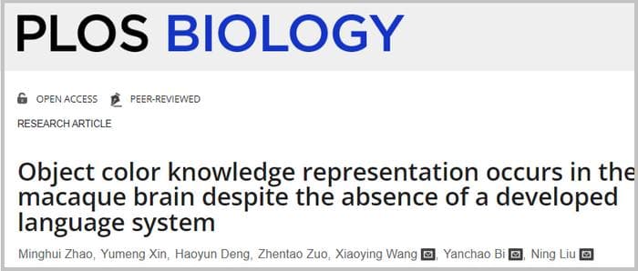 PLoS Biol：中国科学家揭示猕猴大脑表征物体颜色知识的神经机制