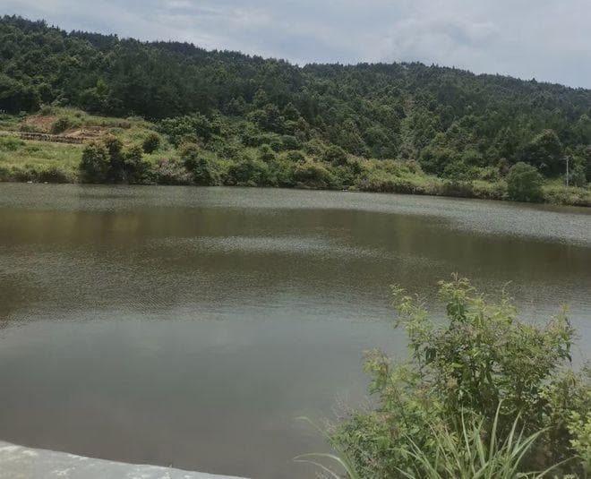 智慧治水：水库信息管理系统助力水资源管理