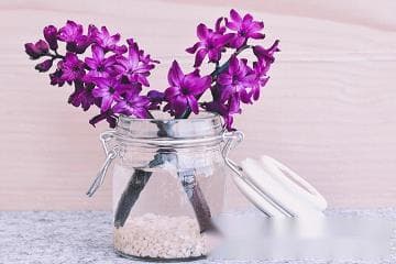 优雅浪漫的花店名字