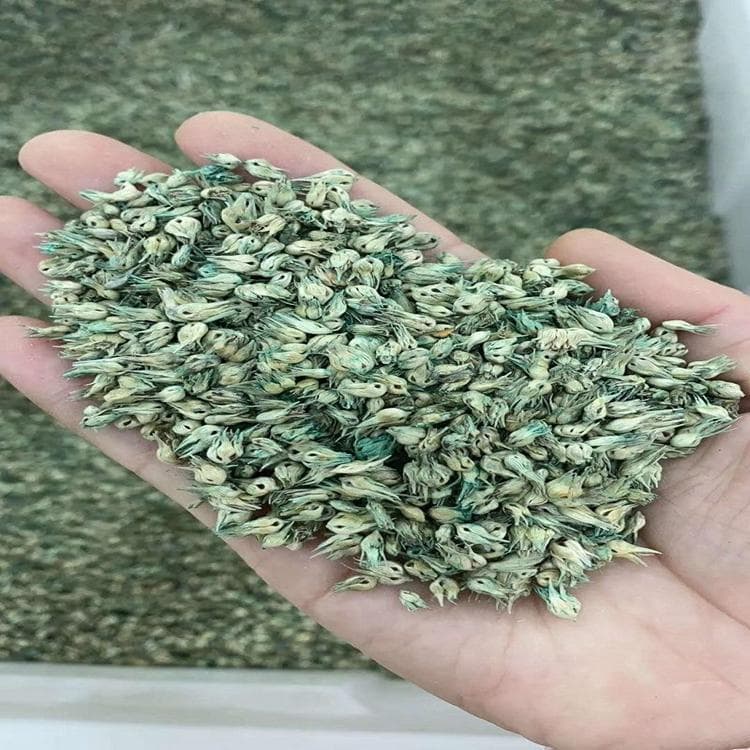 狗牙草一斤播种面积