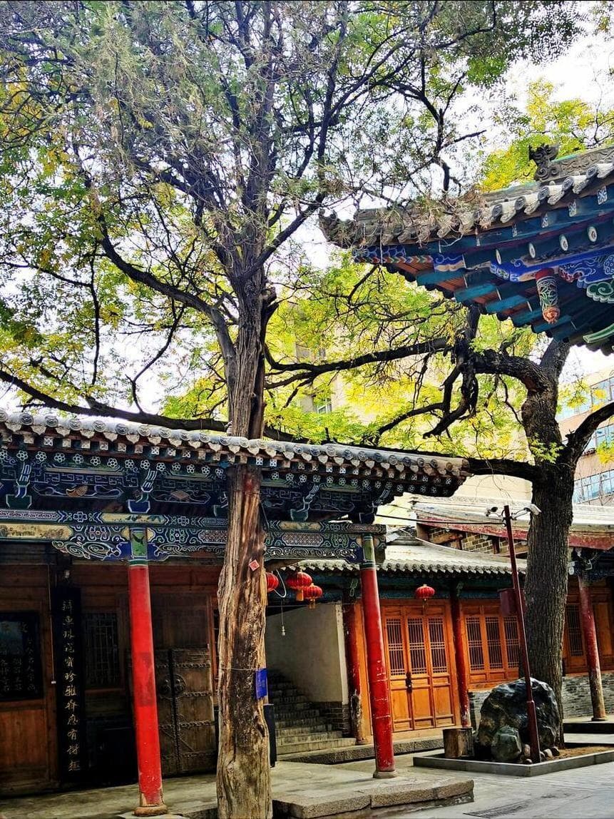人均15吃垮兰州，这10碗地道风味，没吃过算白来