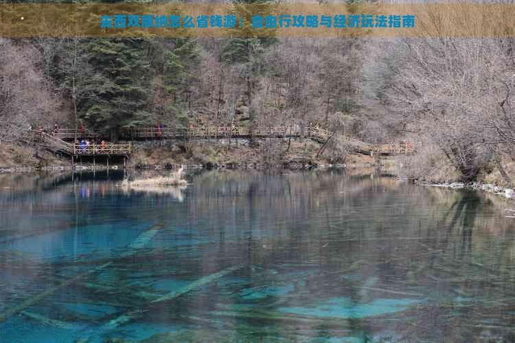去西双版纳怎么省钱游：自由行攻略与经济玩法指南