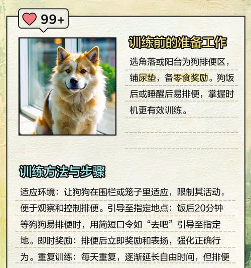 如何训练狗狗在指定地方上厕所？实用指南与训练技巧