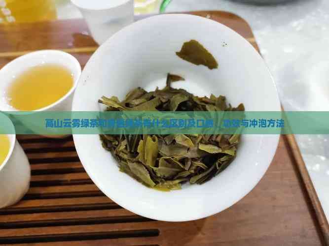 高山云雾绿茶：独特生长环境孕育出的茶中珍品