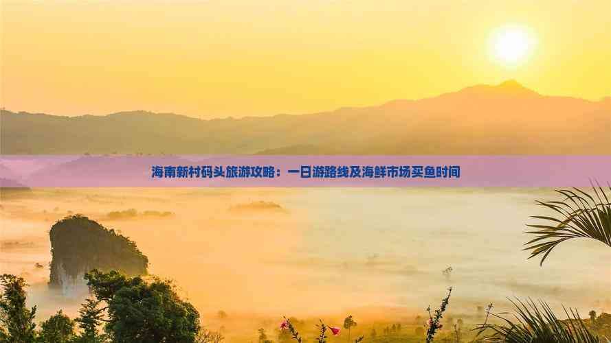 海南新村码头旅游攻略：一日游路线及海鲜市场买鱼时间