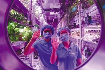 北航挑战世界上时间最长的生物再生生命保障系统实验 地上建月宫，入住一整年