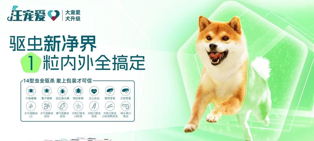 为您的大型狗狗选择适合的驱虫药（保护您的宠物免受寄生虫侵害的关键）