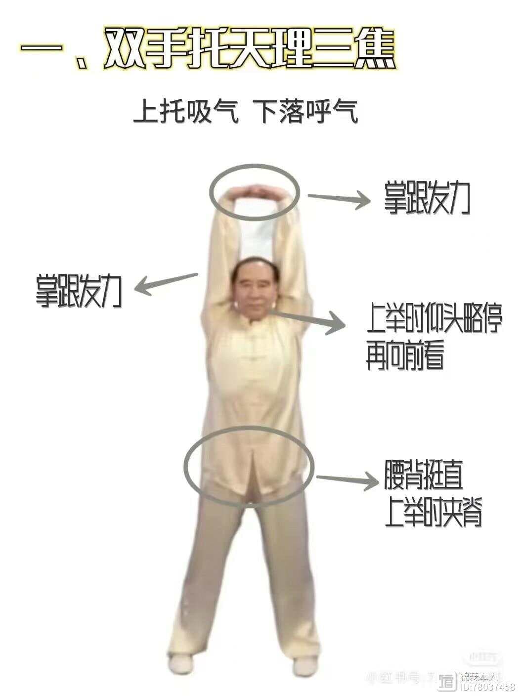 八段锦初学心得分享