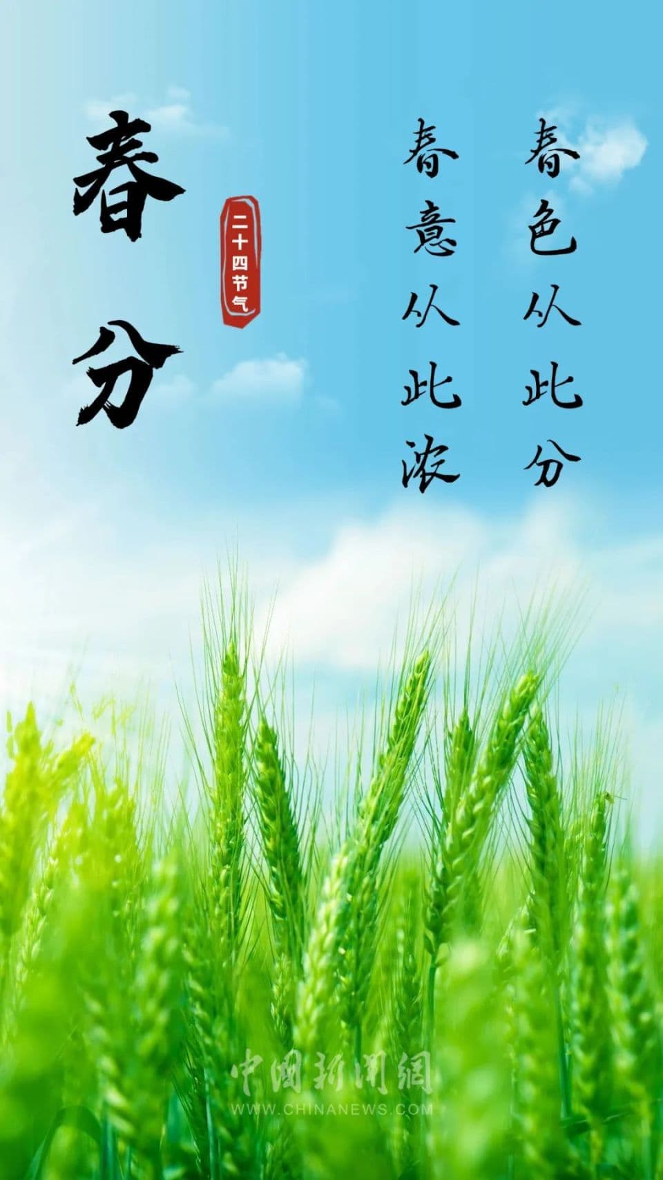 春分文案来了，挑一句惊艳朋友圈