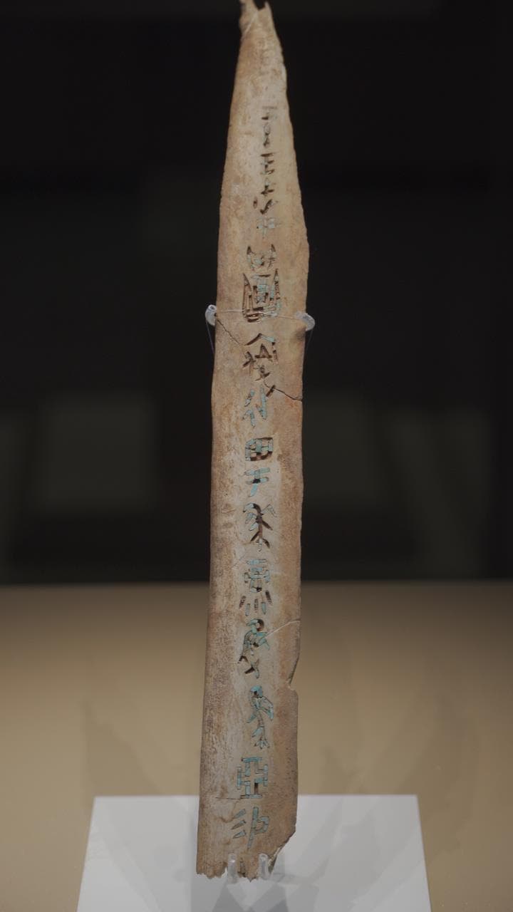 3000年前商王田猎记：嵌绿松石甲骨刻辞的发现与解读