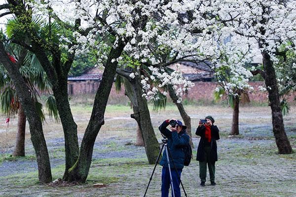广西桂林：生态工笔绘山水 文旅写意赋新篇