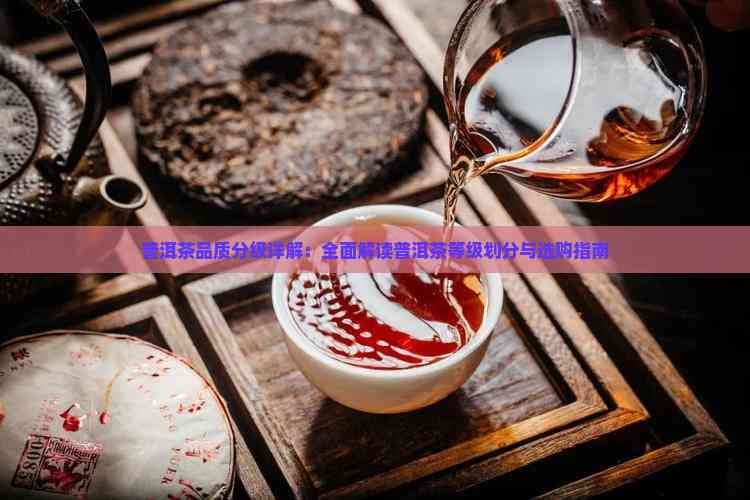 普洱茶知识：从0级到9级的品质分级详解