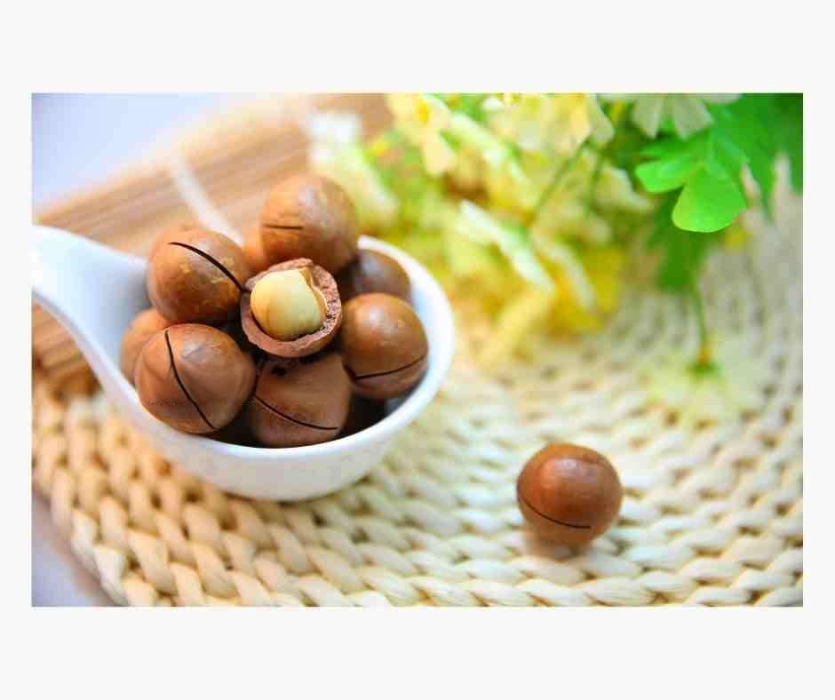 夏威夷坚果油（澳洲胡桃油）Macadamia nut oil -植物油小知识