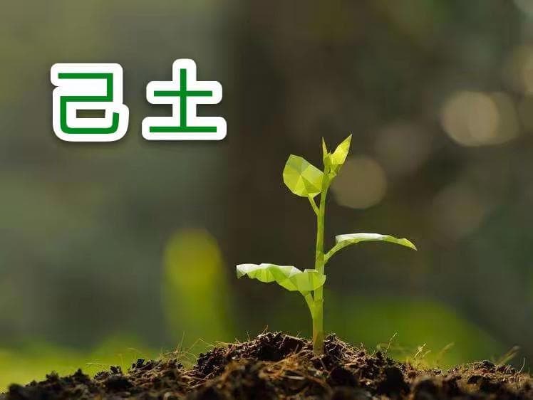 己土与十天干的关系：周易文化中的自然元素解读