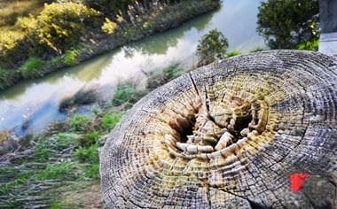 楼上噪音困扰怎么办？合法录音与文明解决指南