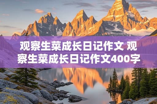 观察生菜成长日记：从播种到收获的两个月时光