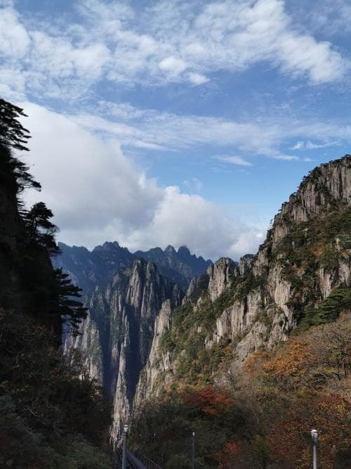 年度工作总结：高效团队建设的五大关键