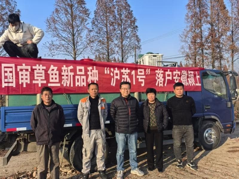 国审草鱼新品种“沪苏1号”落户安徽