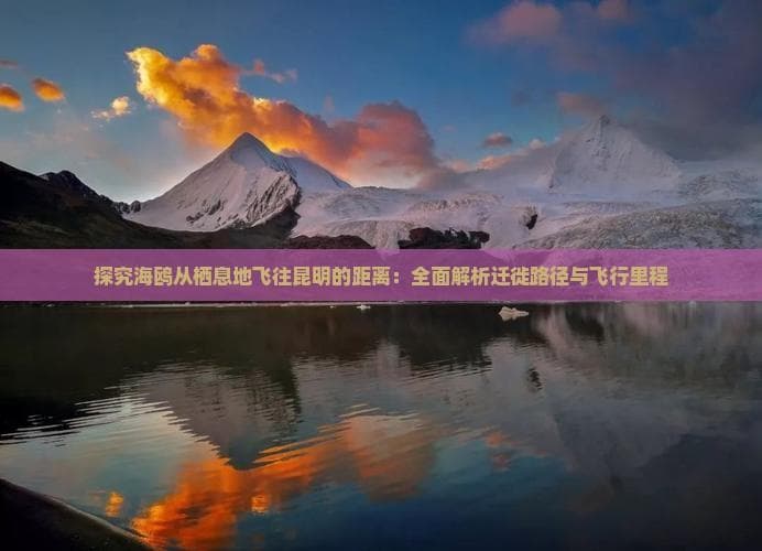 探究海鸥从栖息地飞往昆明的距离：全面解析迁徙路径与飞行里程