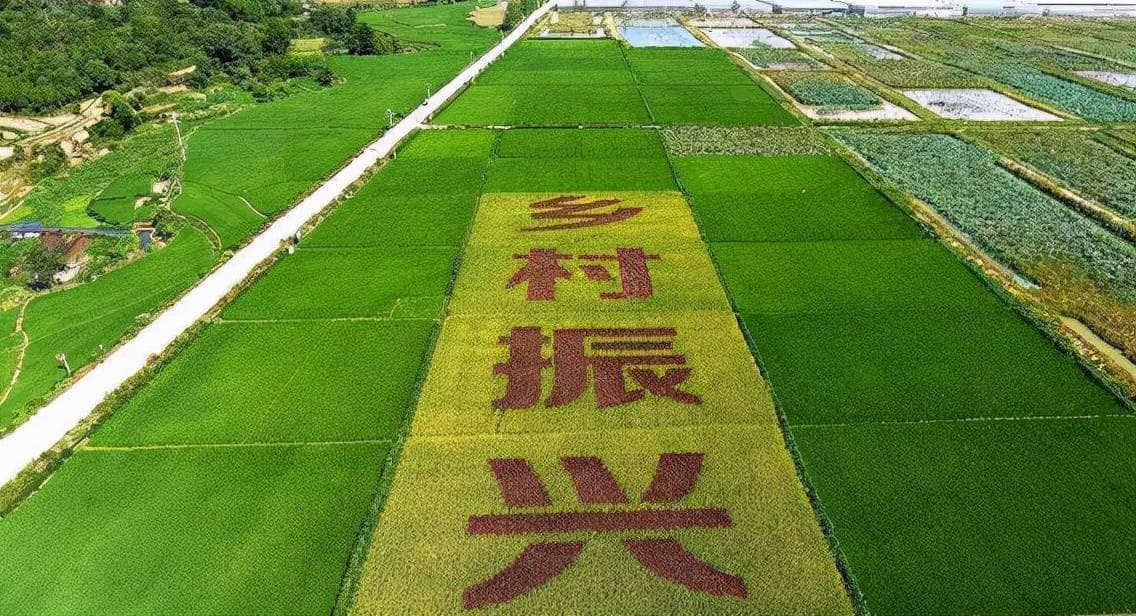 乡村振兴的品牌建设：打造农业品牌，提升农产品附加值，实现美丽乡村经济繁荣