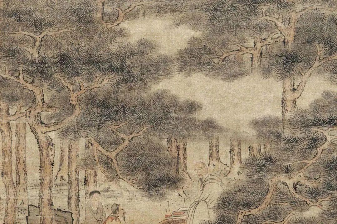 仙人余粮------黄精