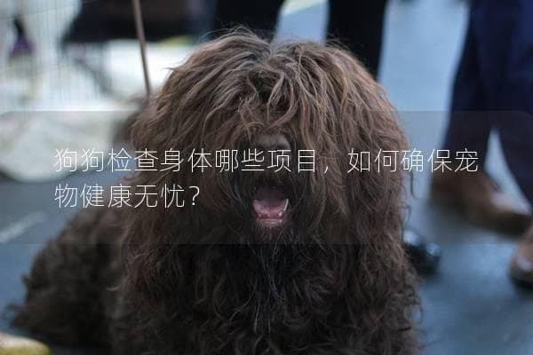 狗狗检查身体哪些项目，如何确保宠物健康无忧？