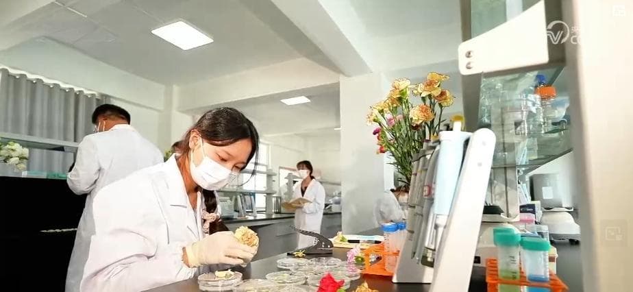 千亿级！新突破！美丽经济盛开“科技之花” “中国风”增“香”海外