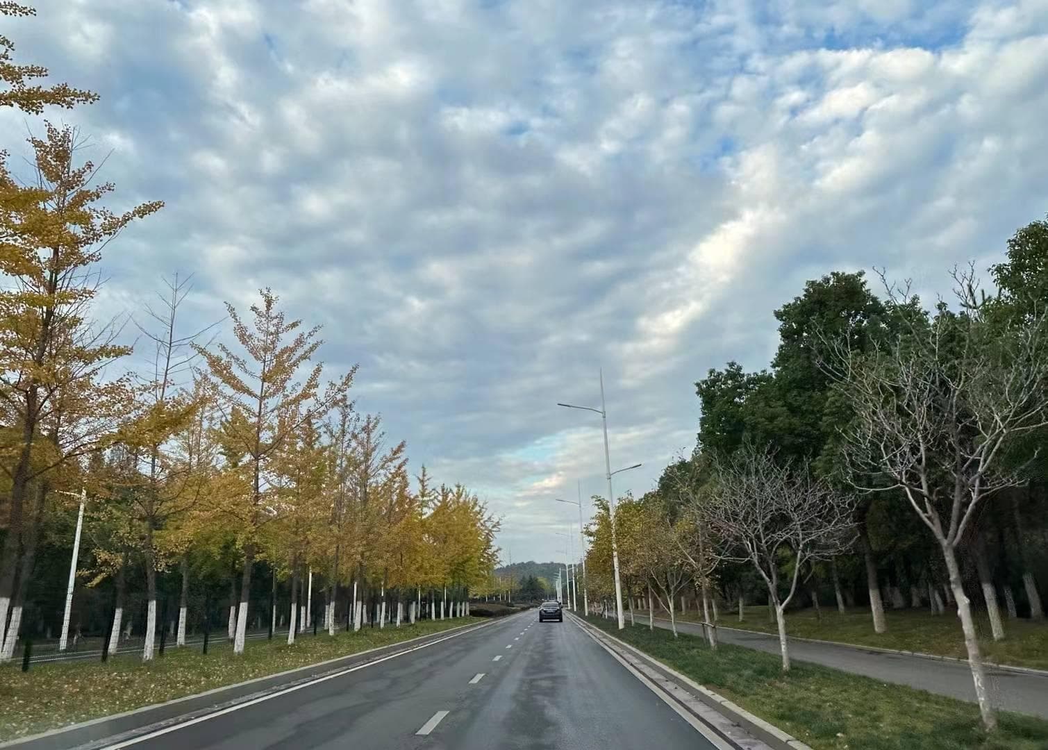 车门打不开怎么办？这些逃生技巧关键时刻能救命