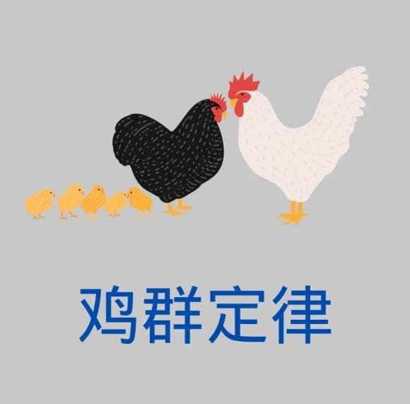 惊人的“鸡群定律”：兄弟姐妹间最好的相处方式，不是聚会和吃饭