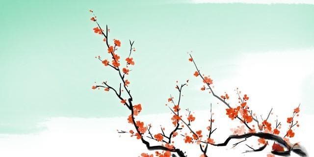 梅花的寓意 ——冬日里的一抹傲骨清香