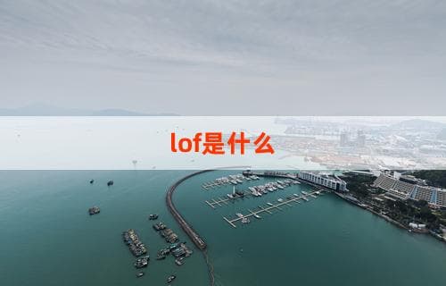 揭秘LOF：什么是LOF以及它的应用与影响