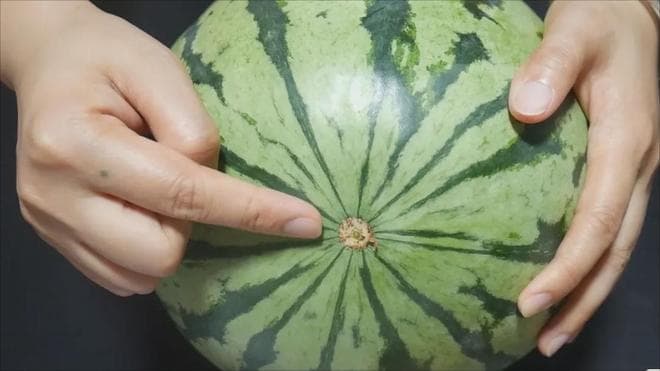 挑西瓜别只听声音，掌握五个诀窍，轻松挑出皮薄多汁的优质西瓜