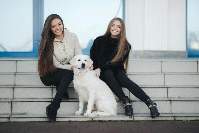 如果你无法忍受拉布拉多犬的这些缺陷，那么你就别养它们！