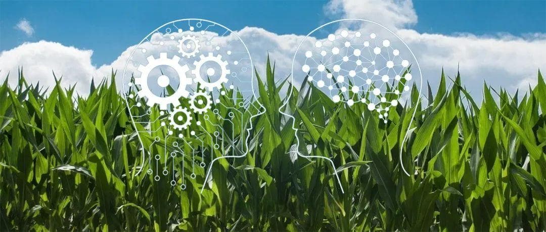 机器学习技术驱动植物AI育种