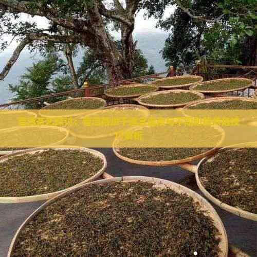 普洱茶艺探讨：普洱茶烘干适宜温度与不同阶段烘焙技巧解析