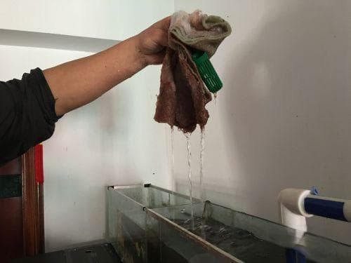 鱼缸杀菌灯使用指南：每天开多长时间最佳？