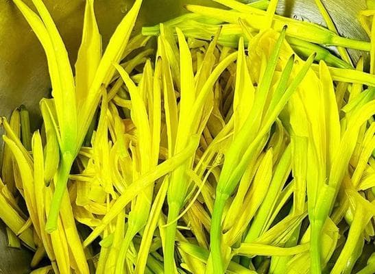 探秘黄花菜：从野生到餐桌的营养传奇