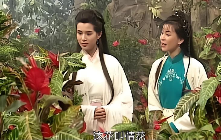 影视剧中的毒物——情花毒是什么毒