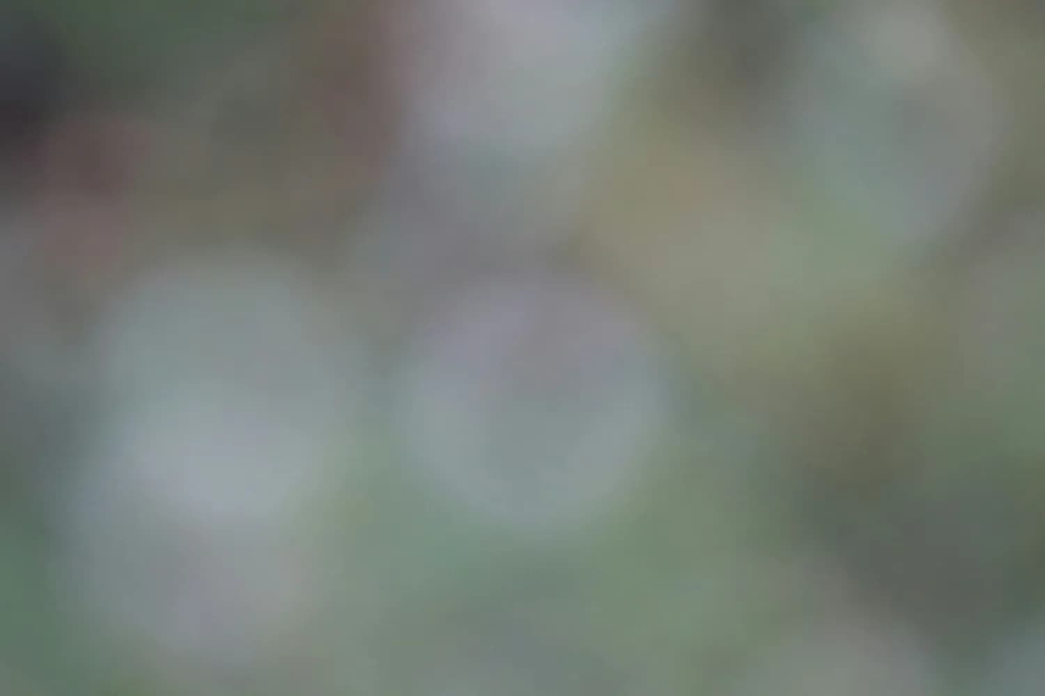 用AI提升模糊信息处理的新趋势：模糊综合评价法详解