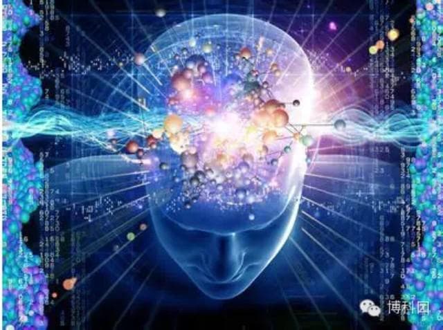 锻炼大脑的41种方法，想不聪明都难