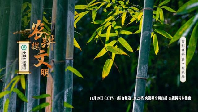一竿翠竹里，蕴藏着竹乡人怎样的生存智慧？