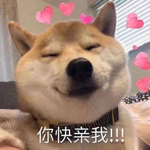 当狗狗觉得幸福时，会有这5种表现，你的汪中招了吗？
