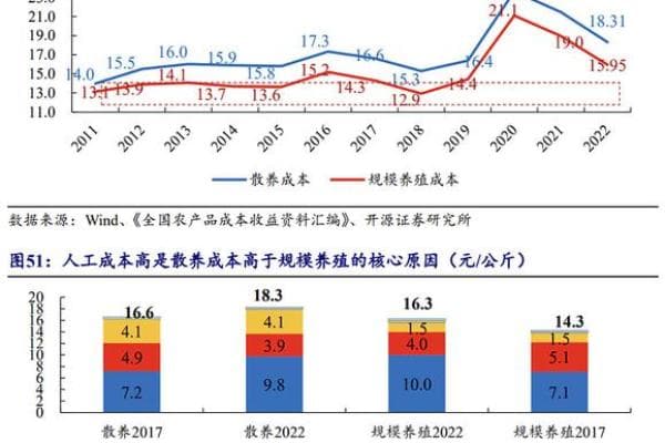 探讨农历猪年的命运与人生转折的关系