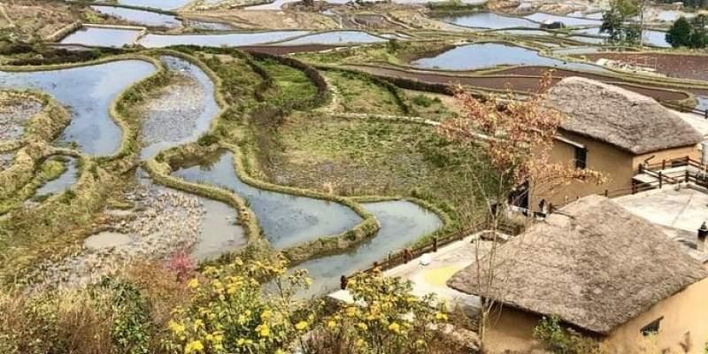 云南元阳梯田：大地上的艺术画廊