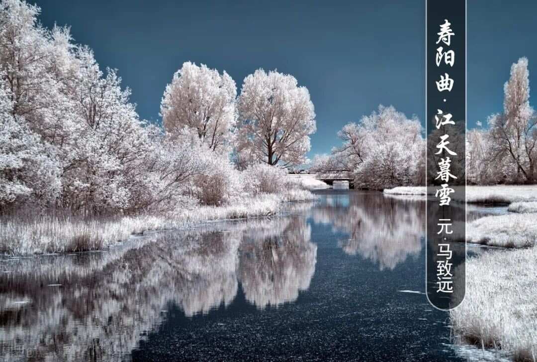 【悦读】元•马致远《寿阳曲•江天暮雪》赏析及同步练习
