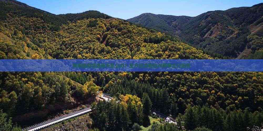 海南旅游遭遇雨天怎么办？全方位攻略应对雨季出行困扰